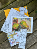 Monthly Print Club 2026 | Jane D'Arcy Art